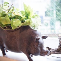ちょっとした小物もキラリと光るものが