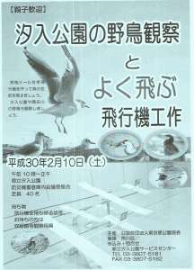 汐入公園の野鳥観察とよく飛ぶ飛行機工作 @ 都立汐入公園 | 荒川区 | 東京都 | 日本