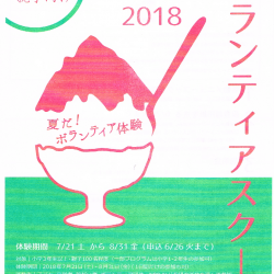 サマーボランティアスクール2018 申込期限