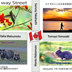 カナダ在住写真家4名による作品展「4 Way Street」