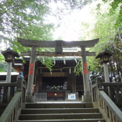 荒川区の夏祭り - 諏方神社