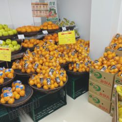 生鮮食品も