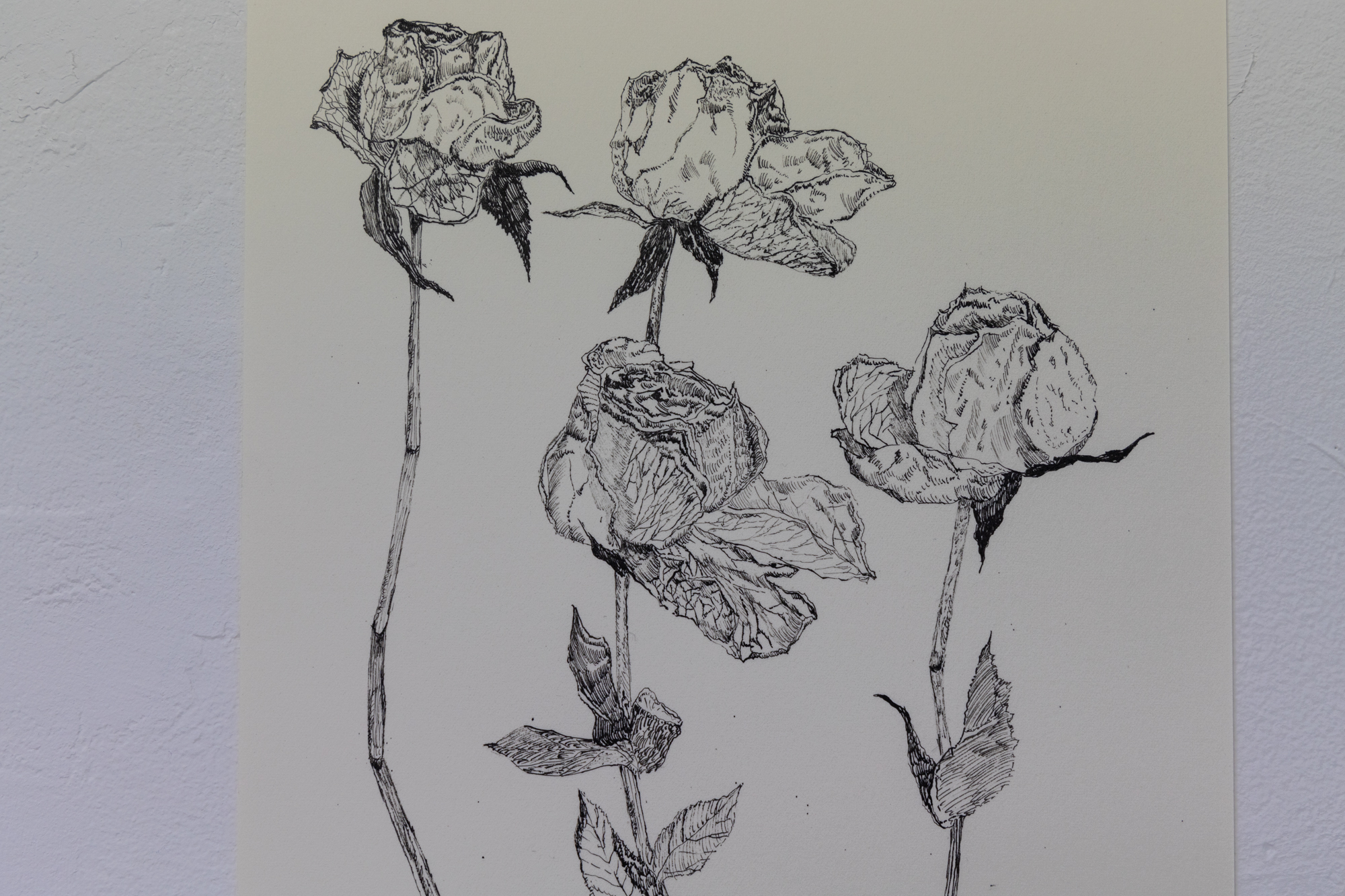 真作】絵画作者不詳アクリル画砂丘風が描く自然のアートU11