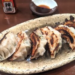 手づくりぎょうざ