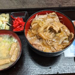 豚丼