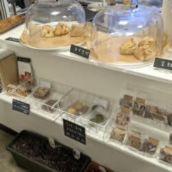 店内では焼き立てスコーン販売