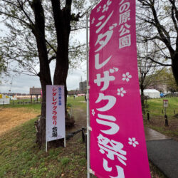 雨の中の開催、第19回 尾久の原公園シダレザクラ祭りに出店しました