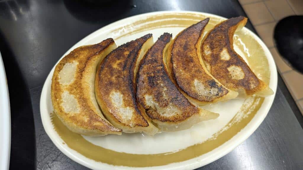 手打ち餃子