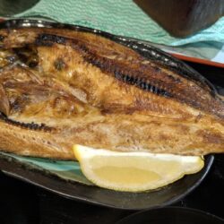 ホッケ