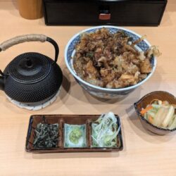 野菜かき揚げ丼＋天茶セット