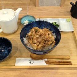 芝海老と小柱のかき揚げ丼と出汁茶漬けセット