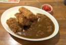 牛すじカレーヒレカツのせ