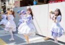 翔んでファレノプシス