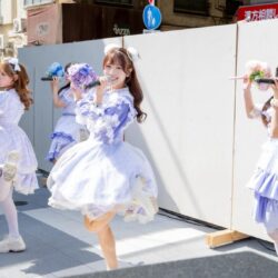 翔んでファレノプシス