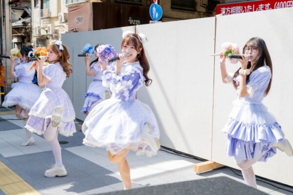 翔んでファレノプシス